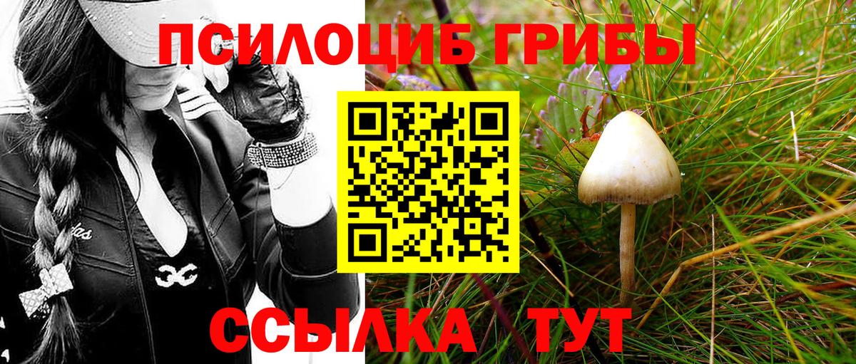 Зерноград  Псилоцибиновые грибы GOLDEN TEACHER  Псилоцибиновые грибы прущие грибы  Вход с VPN 